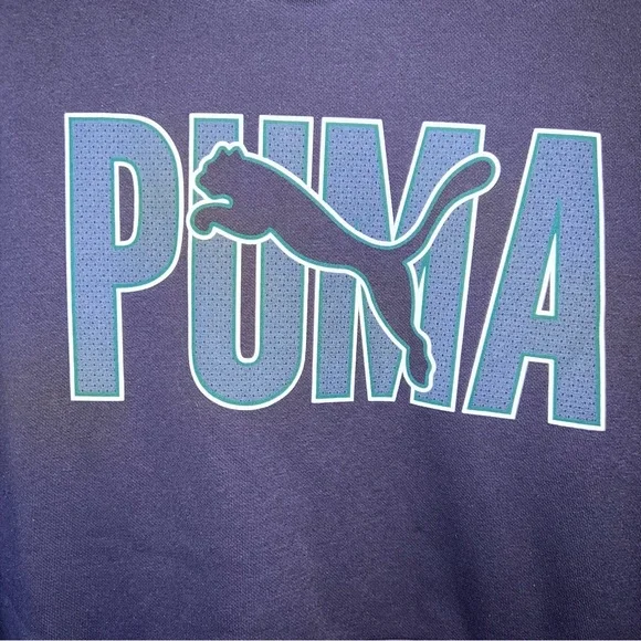 Puma Men’s Hoodie Navy Logo Pullover NWT Size M - Picture 5 of 10